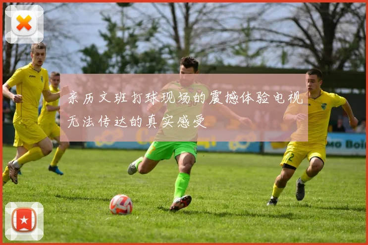 亲历文班打球现场的震撼体验电视无法传达的真实感受