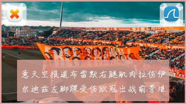意天空报道布雷默右腿肌肉拉伤伊尔迪兹左脚踝受伤欧冠出战前景堪忧