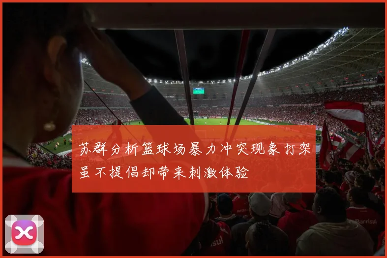 苏群分析篮球场暴力冲突现象打架虽不提倡却带来刺激体验